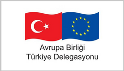Avrupa Birliği Türkiye Delegasyonu